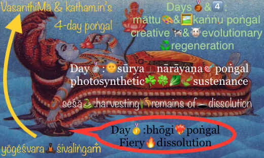 bhogi vis-à-vis pongal, lohri, makara sankranti et al.